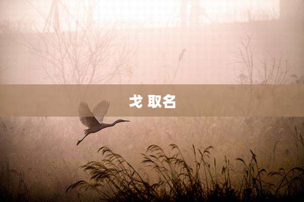 戈 取名