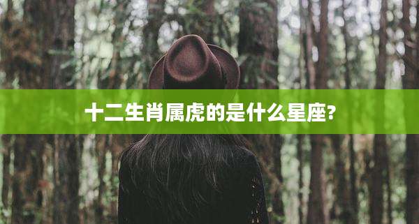 十二生肖属虎的是什么星座?