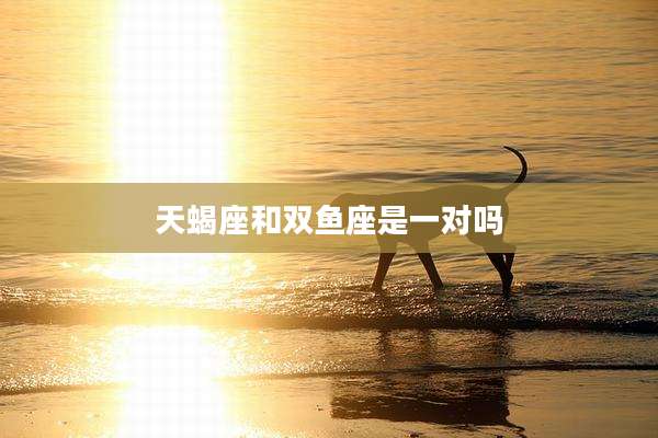 天蝎座和双鱼座是一对吗