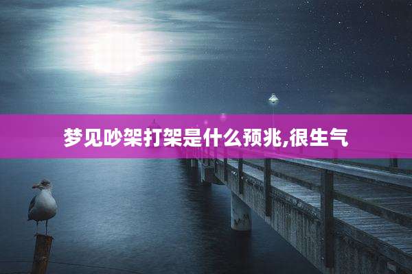 梦见吵架打架是什么预兆,很生气