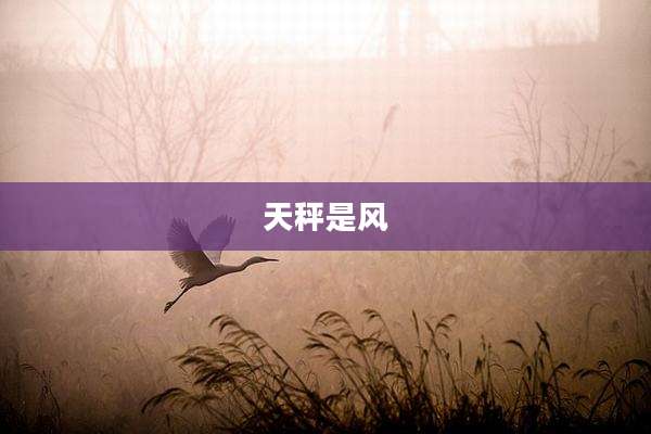 天秤是风
