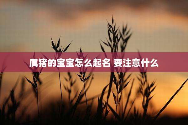 属猪的宝宝怎么起名 要注意什么