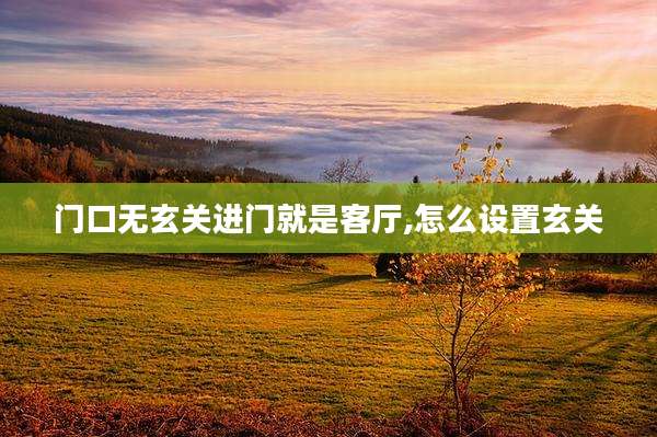 门口无玄关进门就是客厅,怎么设置玄关