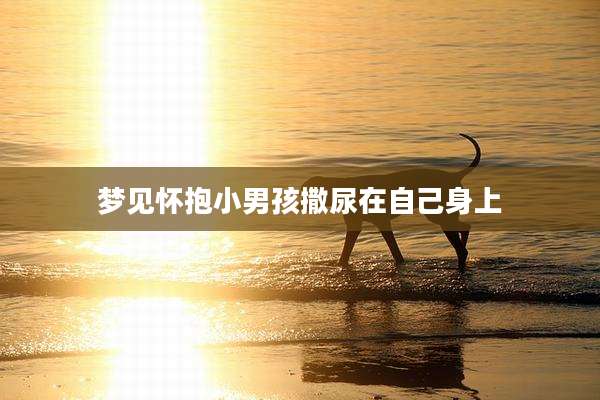 梦见怀抱小男孩撒尿在自己身上