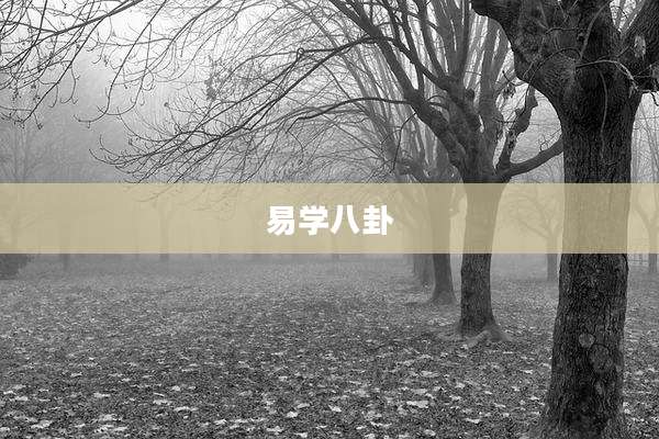 易学八卦
