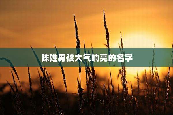 陈姓男孩大气响亮的名字
