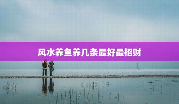 风水养鱼养几条最好最招财