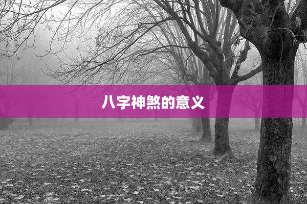 八字神煞的意义