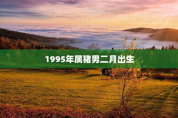 1995年属猪男二月出生