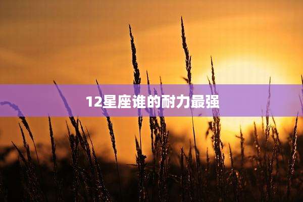 12星座谁的耐力最强