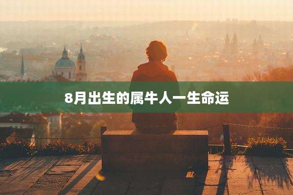 8月出生的属牛人一生命运