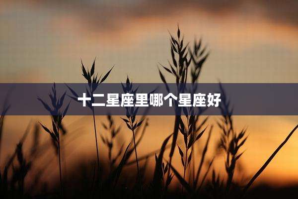 十二星座里哪个星座好