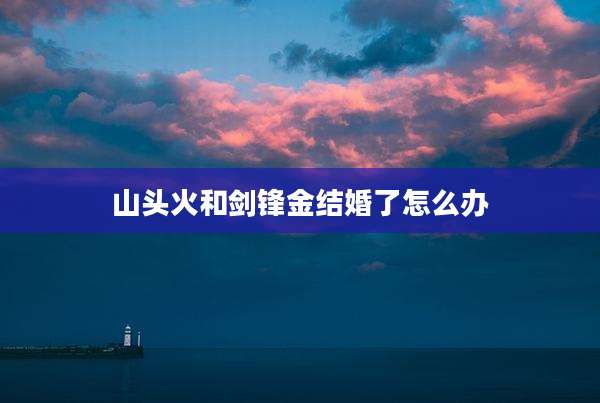 山头火和剑锋金结婚了怎么办