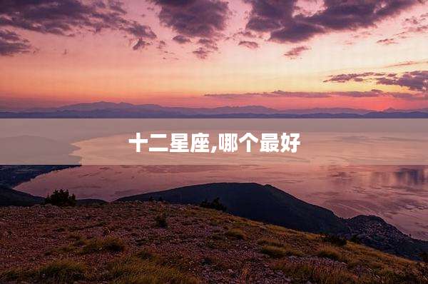 十二星座,哪个最好