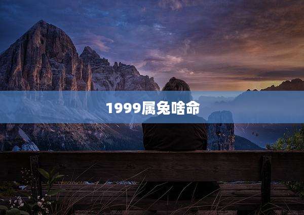 1999属兔啥命