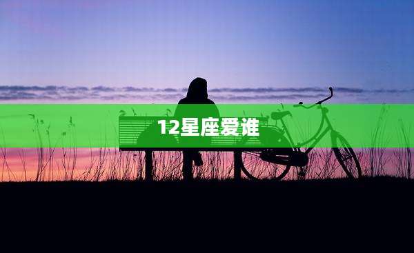 12星座爱谁