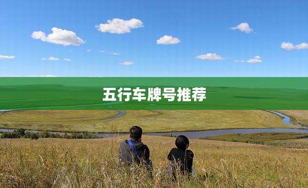 五行车牌号推荐