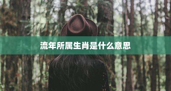 流年所属生肖是什么意思