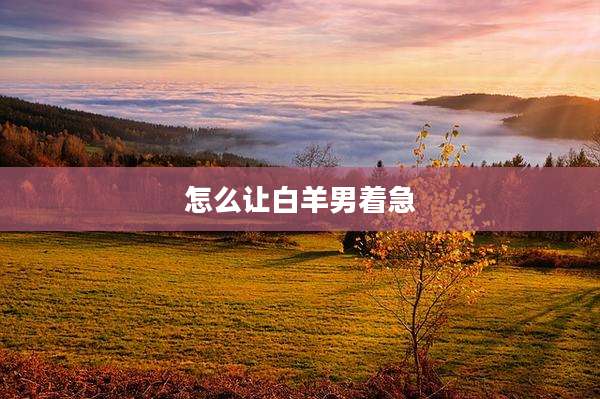 怎么让白羊男着急