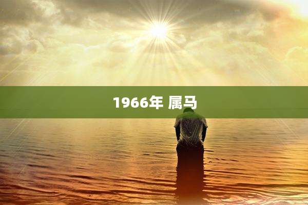 1966年 属马