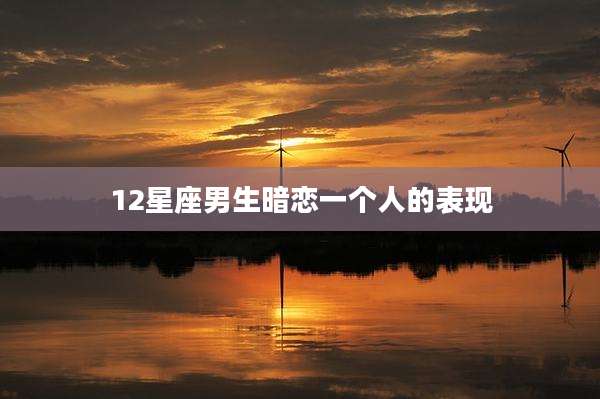 12星座男生暗恋一个人的表现
