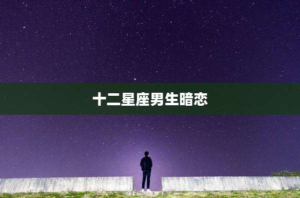 十二星座男生暗恋