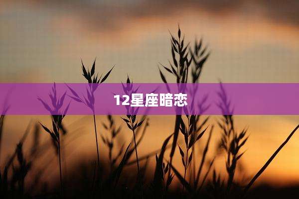 12星座暗恋