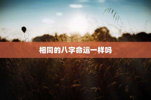 相同的八字命运一样吗