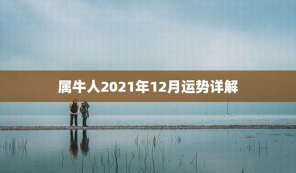 属牛人2021年12月运势详解