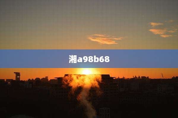 湘a98b68