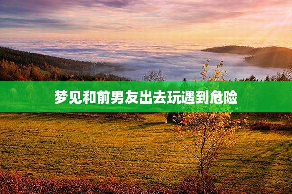 梦见和前男友出去玩遇到危险
