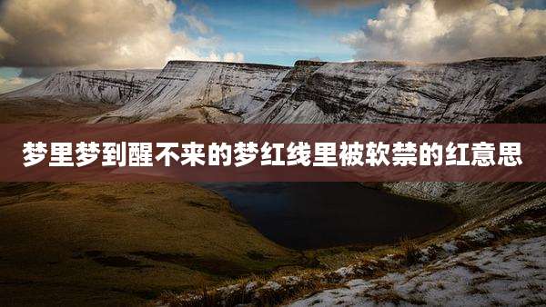 梦里梦到醒不来的梦红线里被软禁的红意思
