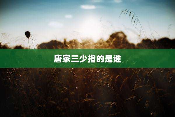 唐家三少指的是谁