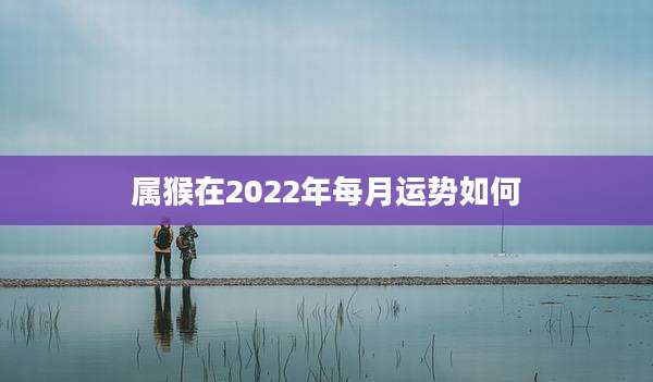 属猴在2022年每月运势如何