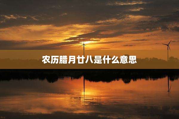 农历腊月廿八是什么意思