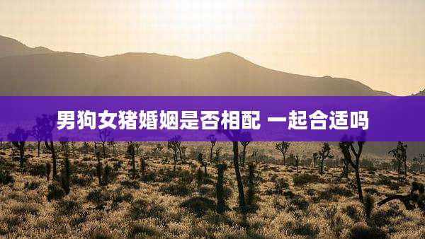 男狗女猪婚姻是否相配 一起合适吗