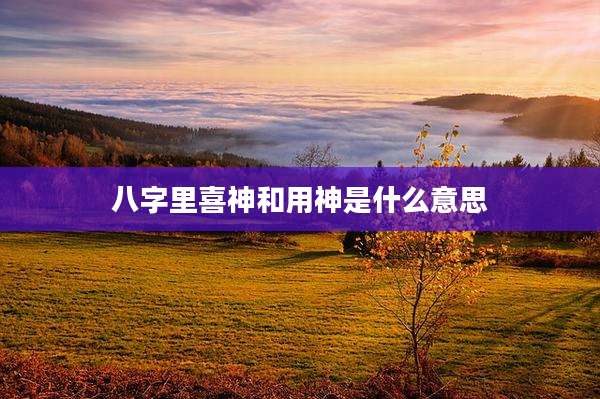 八字里喜神和用神是什么意思