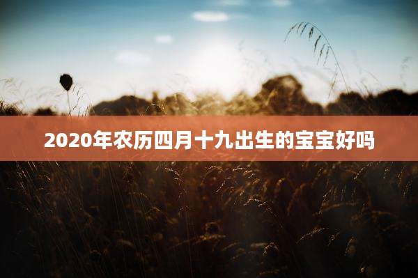 2020年农历四月十九出生的宝宝好吗