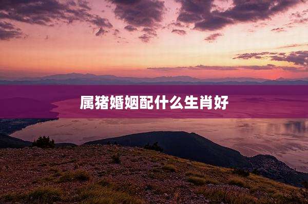 属猪婚姻配什么生肖好