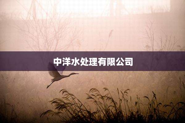 中洋水处理有限公司