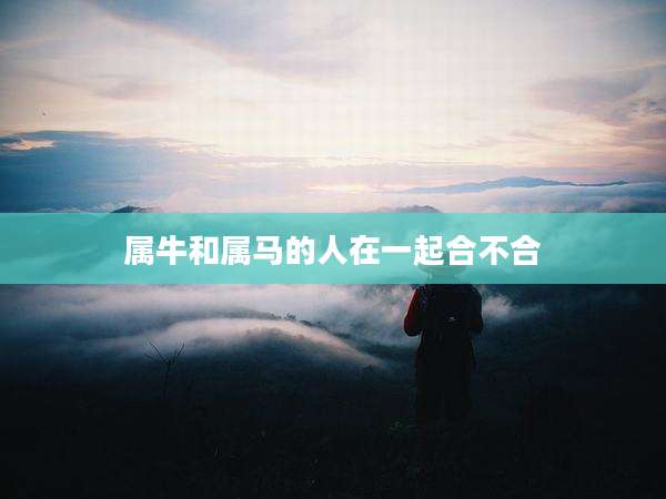 属牛和属马的人在一起合不合