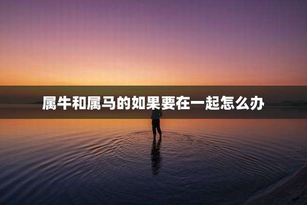 属牛和属马的如果要在一起怎么办