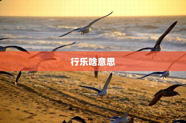 行乐啥意思