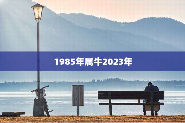 1985年属牛2023年