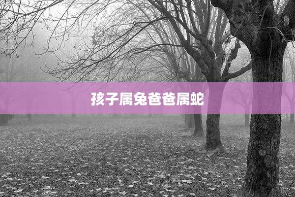 孩子属兔爸爸属蛇