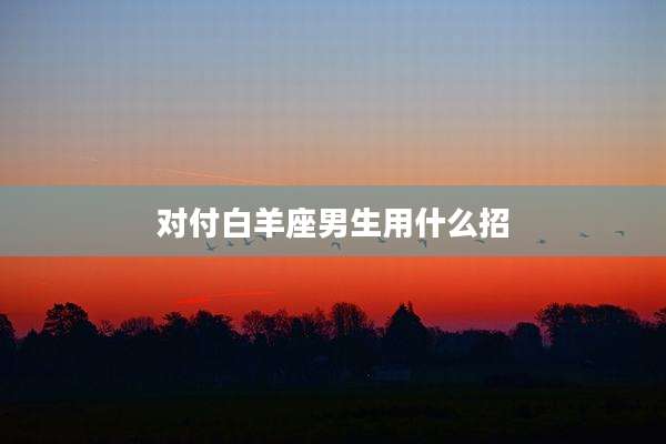 对付白羊座男生用什么招
