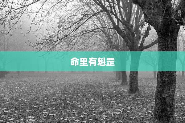 命里有魁罡