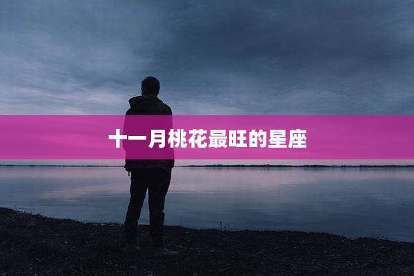 十一月桃花最旺的星座