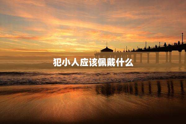 犯小人应该佩戴什么