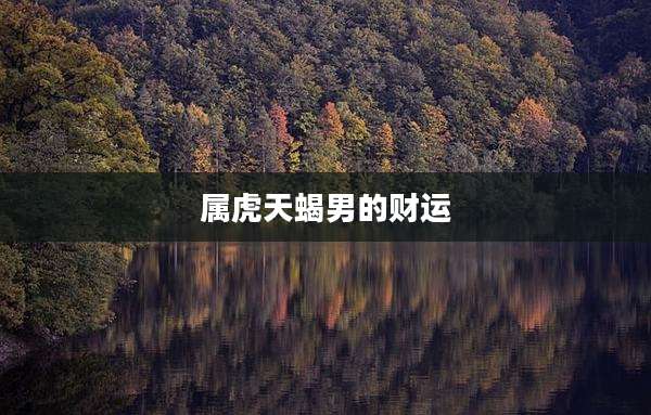 属虎天蝎男的财运
